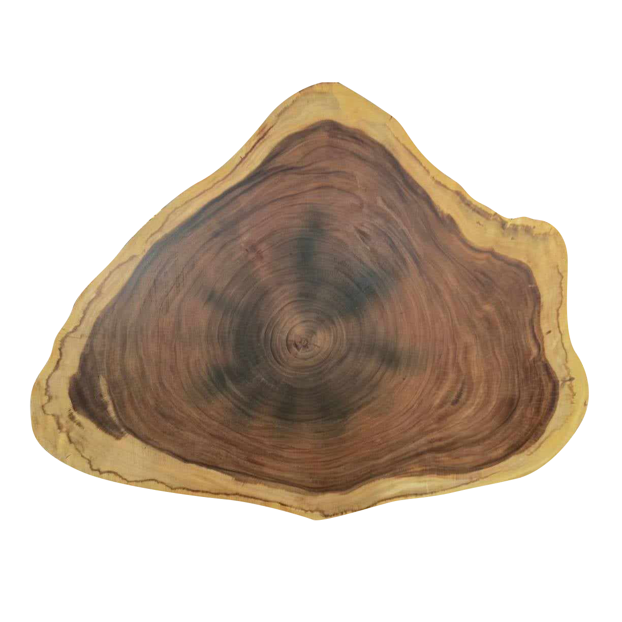 Parota Live Edge Round Table-1004