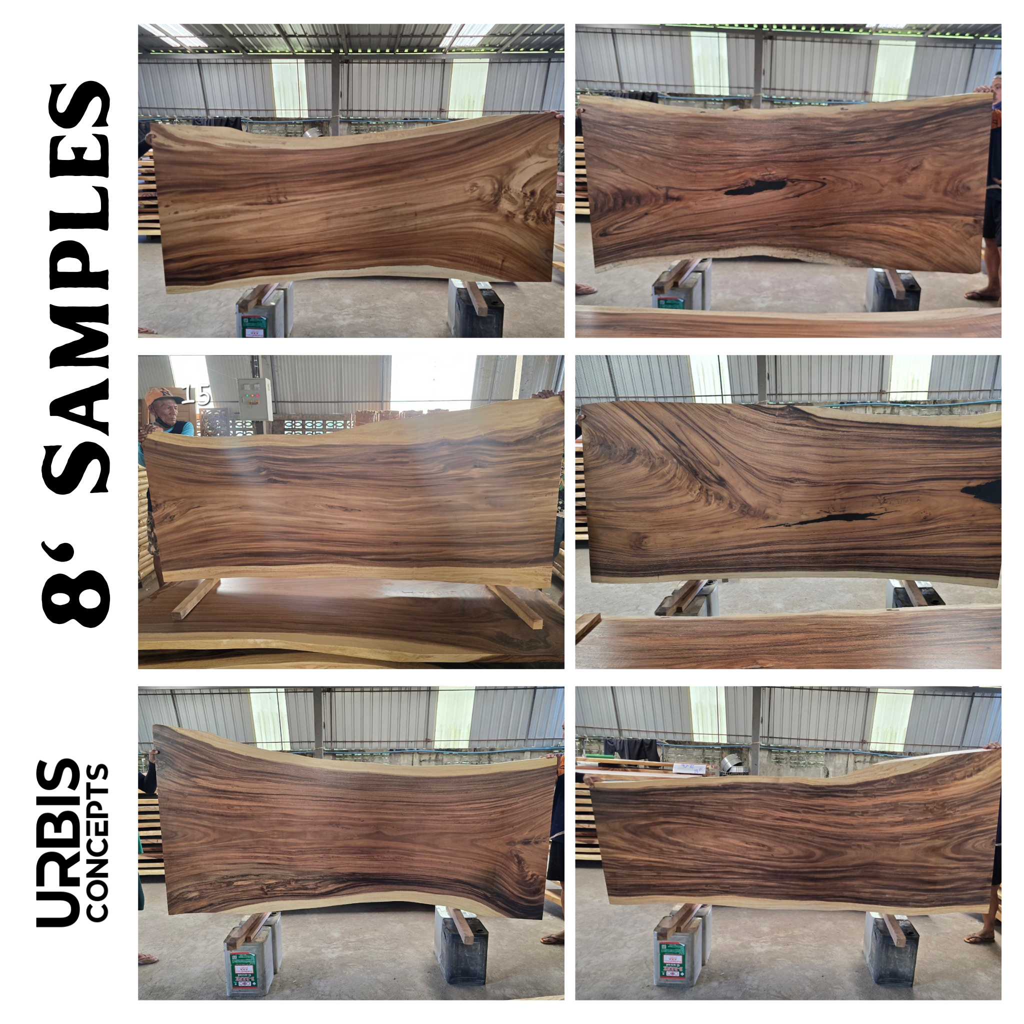 8FT Parota Live Edge Dining Table