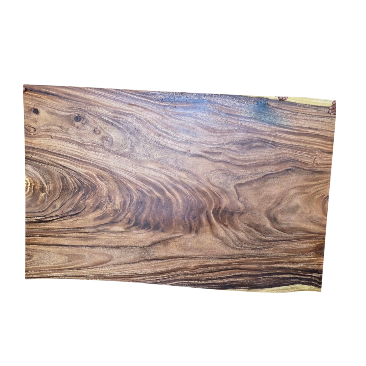 Parota Live Edge 6' Dining Table-1005